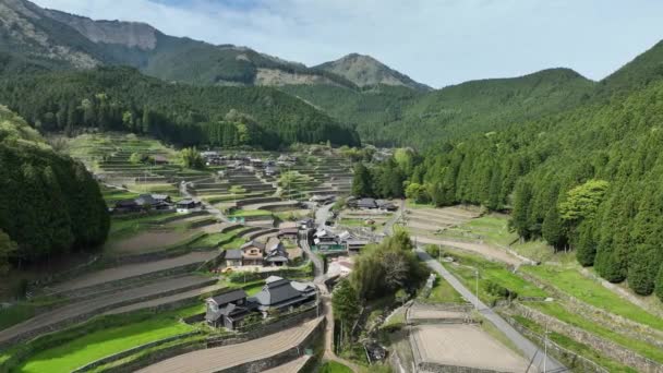 Letecký Pohled Terasovitá Pole Domy Tradiční Japonské Vesnici Horách Vysoce — Stock video