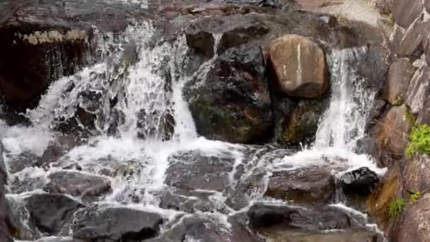 川の石と小さな滝の上に新鮮な水が流れています 高品質4K映像 — ストック動画