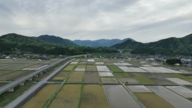 Pirinç tarlaları ve dağ manzarasındaki küçük Japon kasabası. Yüksek kalite 4k görüntü