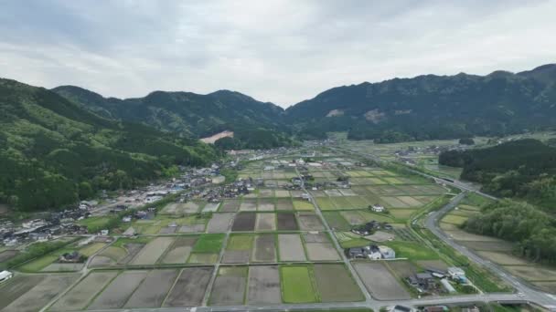 山区谷地的小农村形成了旱稻田网 高质量的4K镜头 — 图库视频影像