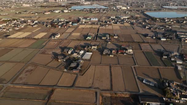 Stacionární Letecký Pohled Vyprahlou Půdu Oraná Pole Domy Venkovském Japonsku — Stock video