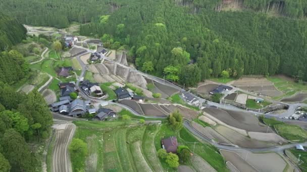 Flyover Houses Traditional Japanese Village Terraced Rice Fields High Quality — Stock Video
