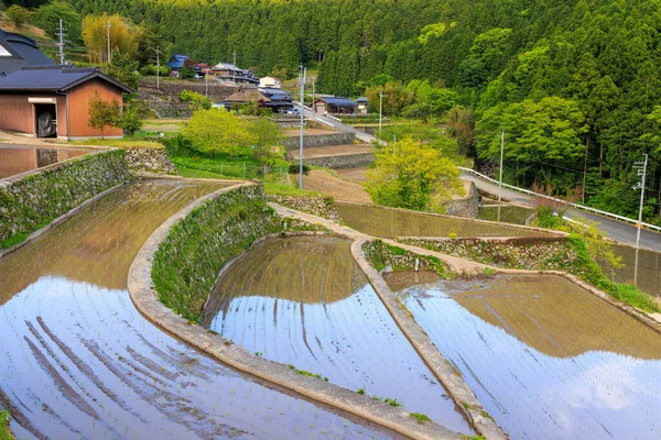 日本传统村庄的梯田在播种季节被水淹 高质量的照片 — 图库照片