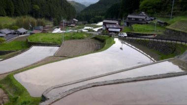 Japonya 'nın dağlık köyündeki su basmış pirinç tarlalarına eğilin. Yüksek kalite 4k görüntü