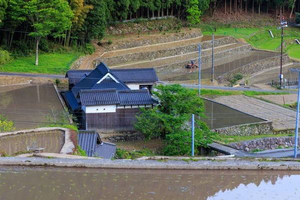 日本の伝統的な木造家屋を囲む洪水棚田 高品質の写真 — ストック写真