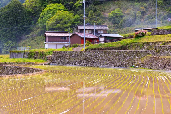 Überflutete Reisfelder Durch Alte Steinmauern Und Haus Terrassenförmiger Landschaft Hochwertiges — Stockfoto