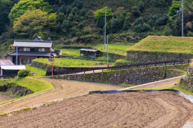 Geleneksel Japon çiftlik evinin yanındaki teraslı yamaçta kuru pirinç tarlaları sürdüm. Yüksek kalite fotoğraf