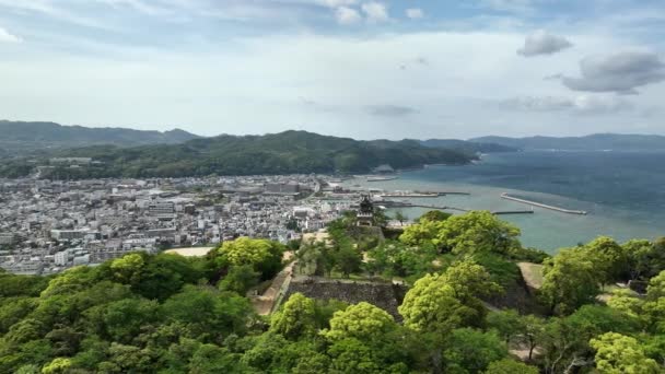 Antena Obraca Się Wokół Historycznego Zamku Sumoto Wzgórzu Awaji Island — Wideo stockowe