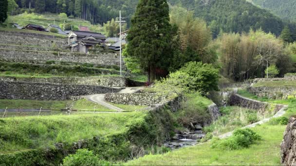 Tradycyjne Japońskie Domy Wiejskie Tarasie Wzgórzu Strumieniem Spokojnej Wiosce Wysokiej — Wideo stockowe