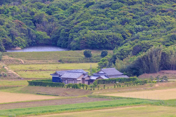 Wiejski Dom Wiatrem Drzew Przerwa Przez Pola Zbiornik Wodny Japonii — Zdjęcie stockowe
