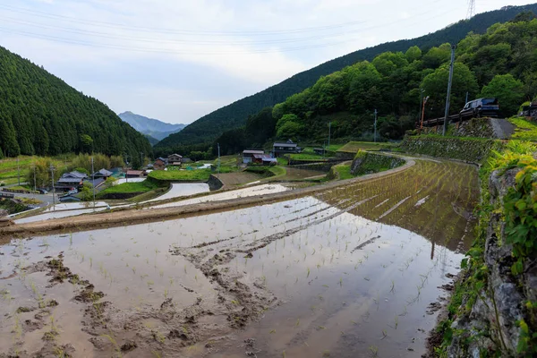 stock image Muddy soil in flooded rice field and terraced landscape of mountain village. High quality photo