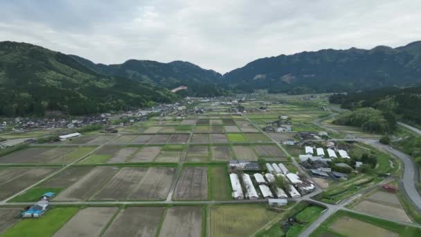 Überfliegen Von Ungepflanzten Reisfeldern Durch Berge Der Japanischen Kleinstadt Hochwertiges — Stockvideo