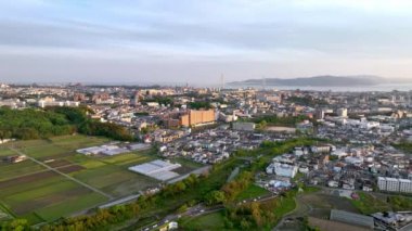 Küçük sahil kenti ve pirinç tarlalarının kıyısındaki yollarda üstgeçit ışığı trafiği. Yüksek kalite 4k görüntü