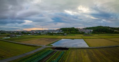 Fırtınalı gökyüzünde günbatımı renklerinin altında sarı tarlalarla çevrili pirinç tarlasını sel bastı. Yüksek kalite fotoğraf