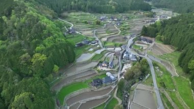 Ekim mevsiminde Japon köyündeki sel basmış pirinç tarlalarına yağıyor. Yüksek kalite 4k görüntü