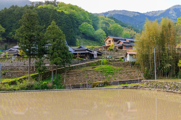 Riz Fraîchement Planté Maisons Traditionnelles Dans Petit Village Montagne Photo — Photo