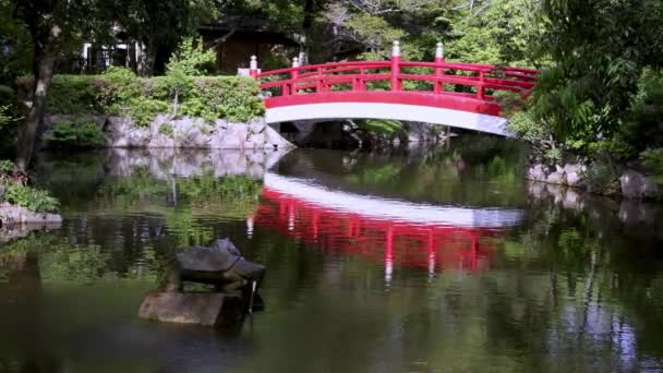 Κόκκινη Γέφυρα Πάνω Από Νερό Μικρή Λίμνη Ήσυχο Ιαπωνικό Ιερό — Αρχείο Βίντεο