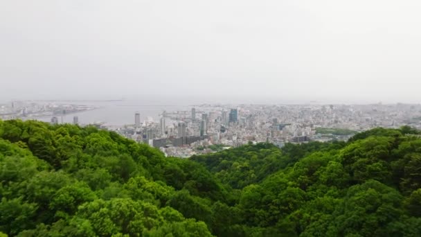 Flyg Över Skogsklädda Berg Till Moderna Byggnader Centrala Kobe City — Stockvideo