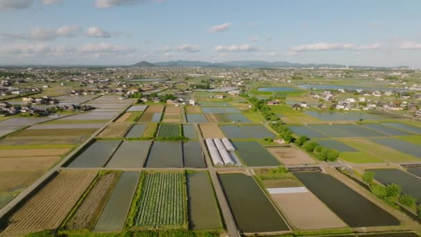 Inundaron Arrozales Las Afueras Pequeña Ciudad Japonesa Día Soleado Imágenes — Vídeo de stock