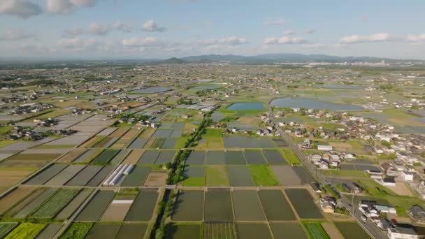 阳光明媚的日子 在小镇边缘的水淹稻田上空飞舞 高质量的4K镜头 — 图库视频影像