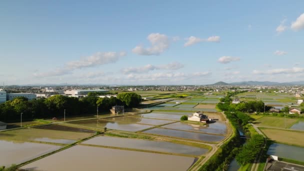 Şehrin Kıyısındaki Basmış Pirinç Tarlaları Sulama Kanalının Yanındaki Japon Evi — Stok video