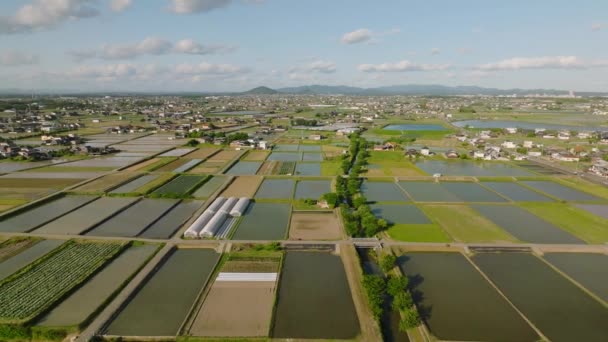 Araba Sulama Kanalı Basmış Pirinç Tarlalarının Yanından Geçiyor Yüksek Kalite — Stok video