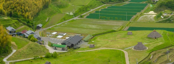 Traditionelle Japanische Häuser Und Reetgedeckte Dachhütten Grünen Feldern Hochwertiges Foto — Stockfoto