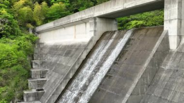 Su, ormandaki beton barajdan aşağı taşar. Yüksek kalite 4k görüntü