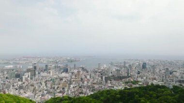 Yeşil dağ ve limandaki modern yüksek binaların havadan görünüşü. Yüksek kalite 4k görüntü