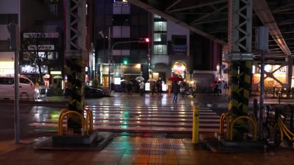 Osaka Japan April 2023 Empty Crosswalk Pedestrians Sidewalk Rainy Night — Stock Video
