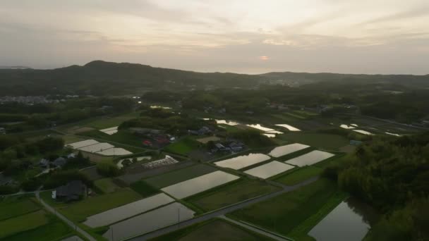 Günbatımında Geleneksel Tarım Köyündeki Basmış Pirinç Tarlalarının Üzerinden Geriye Doğru — Stok video