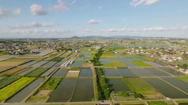 Kırsal kesimdeki sulama kanalları sayesinde şebekede dikdörtgen şeklinde pirinç tarlalarını su basmış. Yüksek kalite 4k görüntü