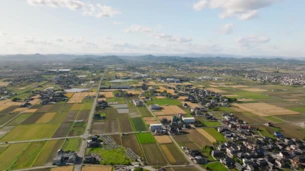 農村の風景の中で家によって小麦や田んぼを通って長い直線道路を飛んでいます 高品質4K映像 — ストック動画
