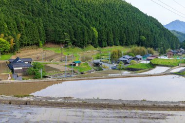 Küçük Japon dağ köyündeki evlere bakan pirinç tarlalarını su bastı. Yüksek kalite fotoğraf