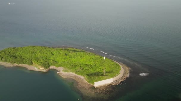 Luftdrehung Eine Kleine Grüne Insel Mit Leuchtturm Und Deich Hochwertiges — Stockvideo