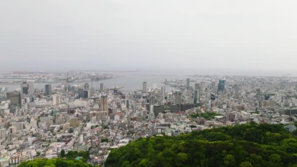 緑の森の向こうに広がる神戸市から飛んできます 六甲だ 高品質4K映像 — ストック動画