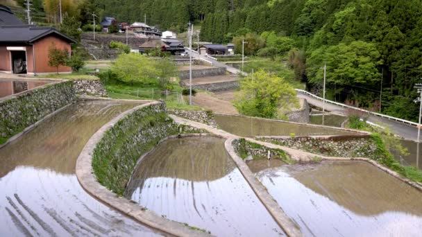 Des Rizières Terrasses Inondées Dans Village Traditionnel Japonais Pendant Saison — Video