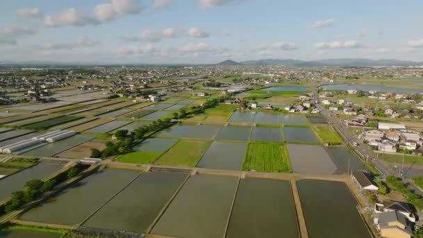 Survolant Des Rizières Inondées Des Champs Secs Par Des Maisons — Video