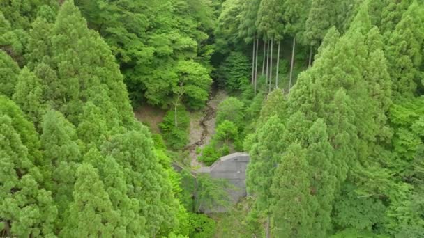 Beton Barajların Üzerinden Geriye Doğru Uçmak Yeşil Ormandaki Dere Için — Stok video
