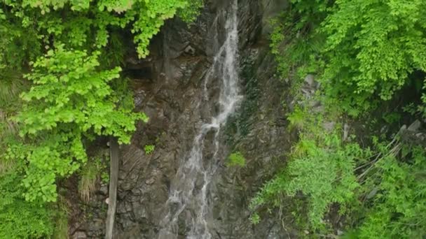小瀑布缓缓地在绿叶下茂密的岩石上流过 高质量的4K镜头 — 图库视频影像