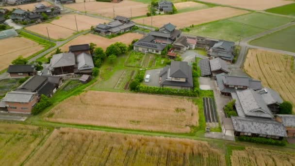 Klesá Dolů Tradiční Japonské Domy Pšeničná Pole Venkovské Vesnici Vysoce — Stock video