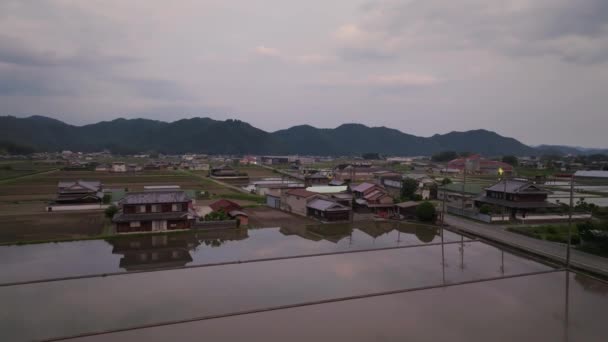 Зростання Над Затопленими Полями Рису Традиційними Японськими Будинками Сутінках Кадри — стокове відео