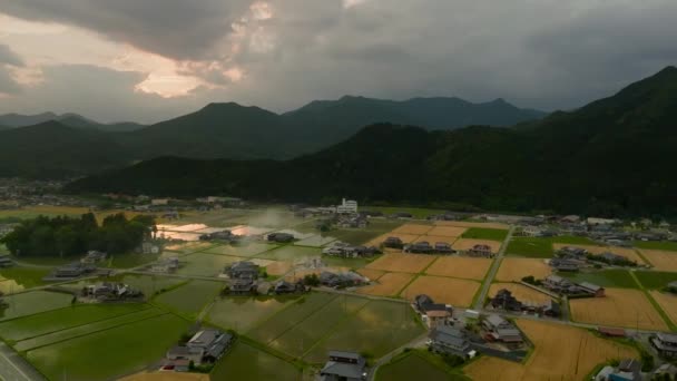 Kırsal Kesimdeki Sel Basmış Pirinç Tarlalarının Günbatımı Üzerindeki Hava Rotasyonu — Stok video