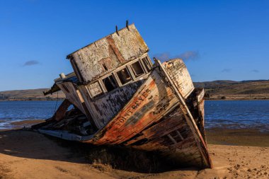 Güneşli bir günde Point Reyes, California sahilindeki tarihi gemi enkazı. Yüksek kalite fotoğraf