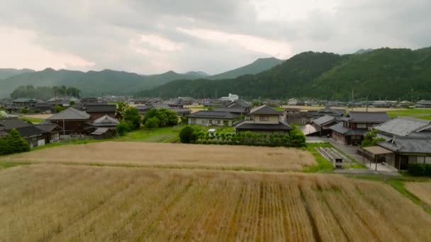 在农村的小麦和稻田中 在传统的日本家庭之上升起 高质量的4K镜头 — 图库视频影像