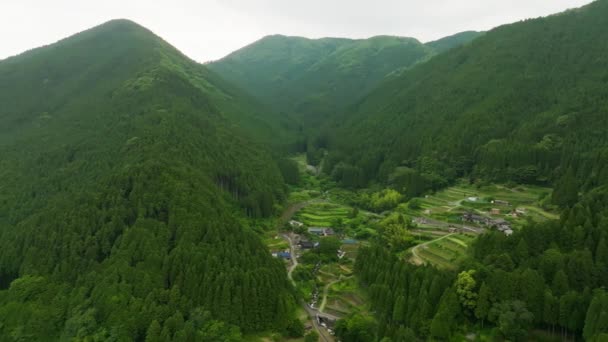 Aerial View Terraced Rice Fields Green Mountain Landscape High Quality — Stock Video