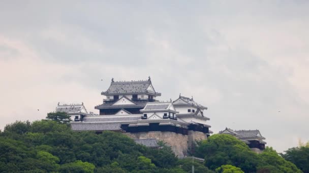 Czarne Ptaki Dachu Zabytkowego Zamku Matsuyama Ehime Japonia Wysokiej Jakości — Wideo stockowe