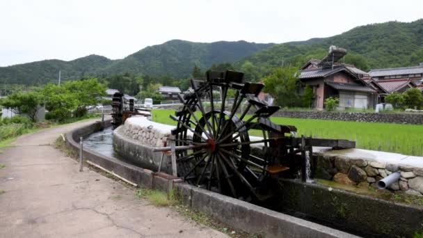 日本农村传统的木制水轮由灌溉渠和稻田组成 高质量的4K镜头 — 图库视频影像