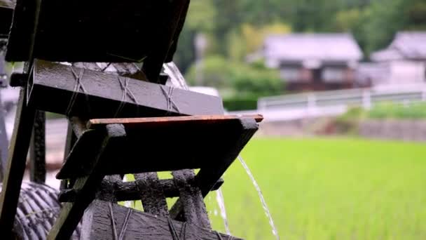 Fechar Roda Água Madeira Histórica Por Campo Arroz Verde Japão — Vídeo de Stock