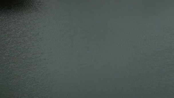 在森林中的小水坝上 从水库上空飞向混凝土溢洪道 高质量的4K镜头 — 图库视频影像